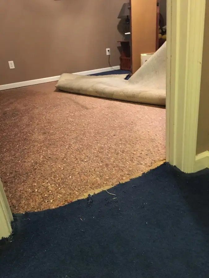 Carpet pad removal revealing water damage during Drying & Dehumidification in South Boston